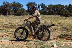 Dirwin Pioneer Plus 750W / 1000W Peak Hunting Electric Bike