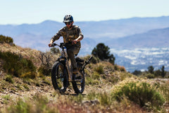 Dirwin Pioneer Plus 750W / 1000W Peak Hunting Electric Bike