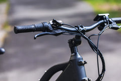 Dirwin Pacer Lite 500W Electric Bike