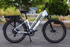 Dirwin Pacer Plus 750W Electric Bike