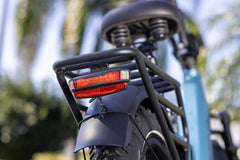Rattan Pinus Fat Tire 750W Electric Bike