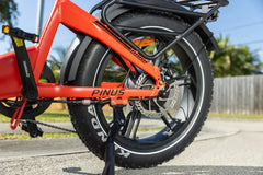 Rattan Pinus Fat Tire 750W Electric Bike