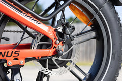 Rattan Pinus Fat Tire 750W Electric Bike