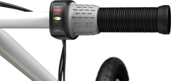 Razor EcoSmart SUP Electric Scooter