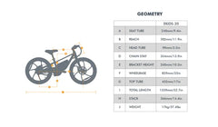Eunorau EKIDS20 1.0 Electric Bike