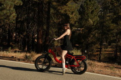 Victrip TITAN S 1000W Long Range E-Bike
