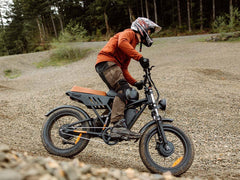 Freego Flash F3 Pro Dual Motor and Battery Electric Bike