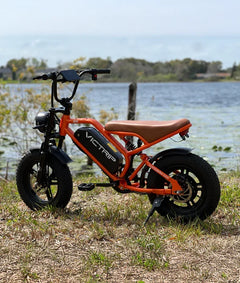Victrip R6 Off Road E-Bike