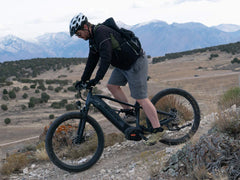 Velowave Forest XM Mountain Electric Bike