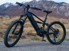 Velowave Forest XM Mountain Electric Bike