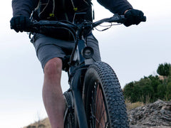 Velowave Forest XM Mountain Electric Bike