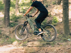 Velowave Forest XM Mountain Electric Bike