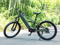 Velowave Forest XM Mountain Electric Bike