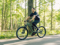 Velowave Forest XM Mountain Electric Bike