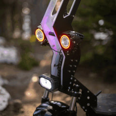 Freego D11 Landtiger Electric Scooter Foldable Dual Motor 4000W