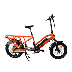 Eunorau G30-CARGO 2.0 Electric Bike