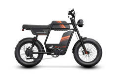 Riding Times GT33 All-Terrain Cafe Racer Cargo Electric Bike