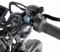 Riding Times GT33 All-Terrain Cafe Racer Cargo Electric Bike
