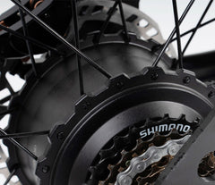 Riding Times GT33 All-Terrain Cafe Racer Cargo Electric Bike