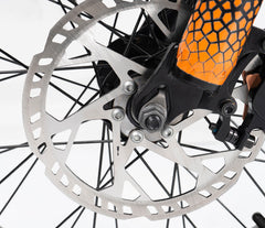 Riding Times GT33 All-Terrain Cafe Racer Cargo Electric Bike
