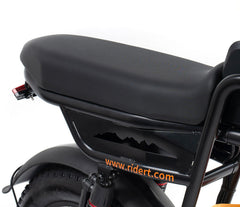 Riding Times GT33 All-Terrain Cafe Racer Cargo Electric Bike