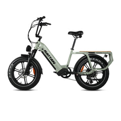 Rattan Quercus Fat Tire 750W Electric Bike