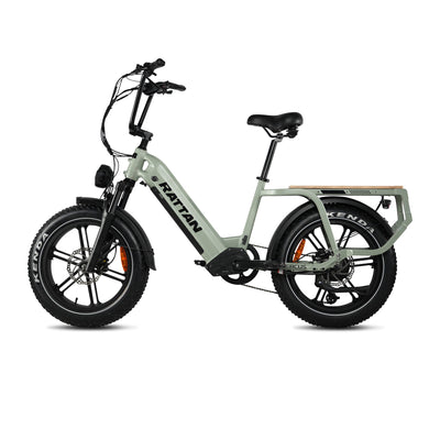 Rattan Quercus Fat Tire 750W Electric Bike