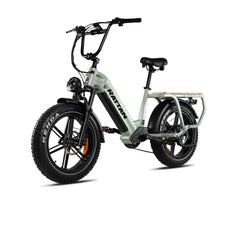 Rattan Quercus Fat Tire 750W Electric Bike