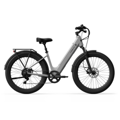 TENWAYS Wayfarer 750W Electric Bike
