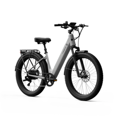 TENWAYS Wayfarer 750W Electric Bike
