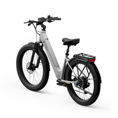 TENWAYS Wayfarer 750W Electric Bike