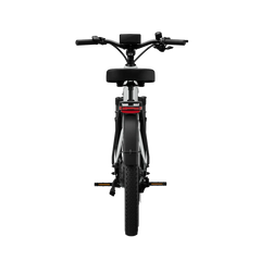 TENWAYS Wayfarer 750W Electric Bike