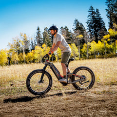 Heybike Hero Electric Bike - Top Speed 35 MPH