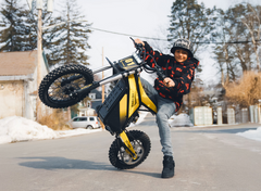 Heybike Villain Electric Dirt Bike