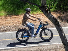 Heybike Horizon Electric Bike - Top Speed 28 MPH
