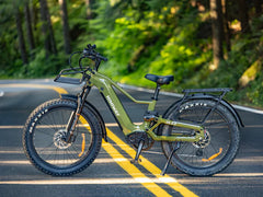Himiway D5 2.0 Step-over Electric Bike
