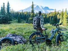 Himiway D5 2.0 Camo Electric Bike