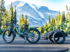 Himiway D5 2.0 Camo Electric Bike