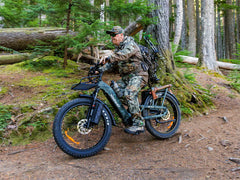 Himiway D5 2.0 Camo Electric Bike