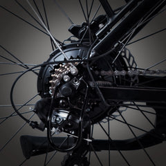 Bee Adventurer X2 Soft Tail Dual Motors Electric Bike