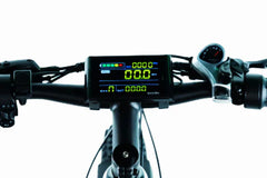Bee Adventurer X2 Soft Tail Dual Motors Electric Bike