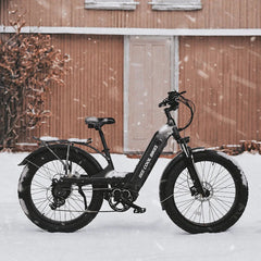 Bee Pathfinder Step-Thru Full Suspension Long Range Electric Bike
