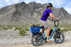 Rattan Pinus Fat Tire 750W Electric Bike