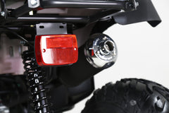 Tao Motor Rhino 250 ATV - Adult-Sized ATV 200cc 4-stroke