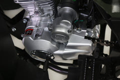Tao Motor Rhino 250 ATV - Adult-Sized ATV 200cc 4-stroke