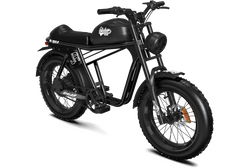QIOLOR TIGER JR Commuter Electric Bike - 500W, 48V 15Ah