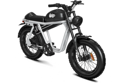 QIOLOR TIGER JR Commuter Electric Bike - 500W, 48V 15Ah