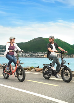 ENGWE L20 2.0 Electric Bike