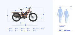 Letrigo Workhorse Electric Bike