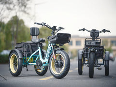 SILVERADO-HD Fat Tire Electric Tricycle by DW Meigi